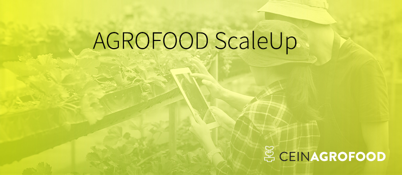 Abierta la tercera edición del programa AGROFOOD ScaleUp de CEIN