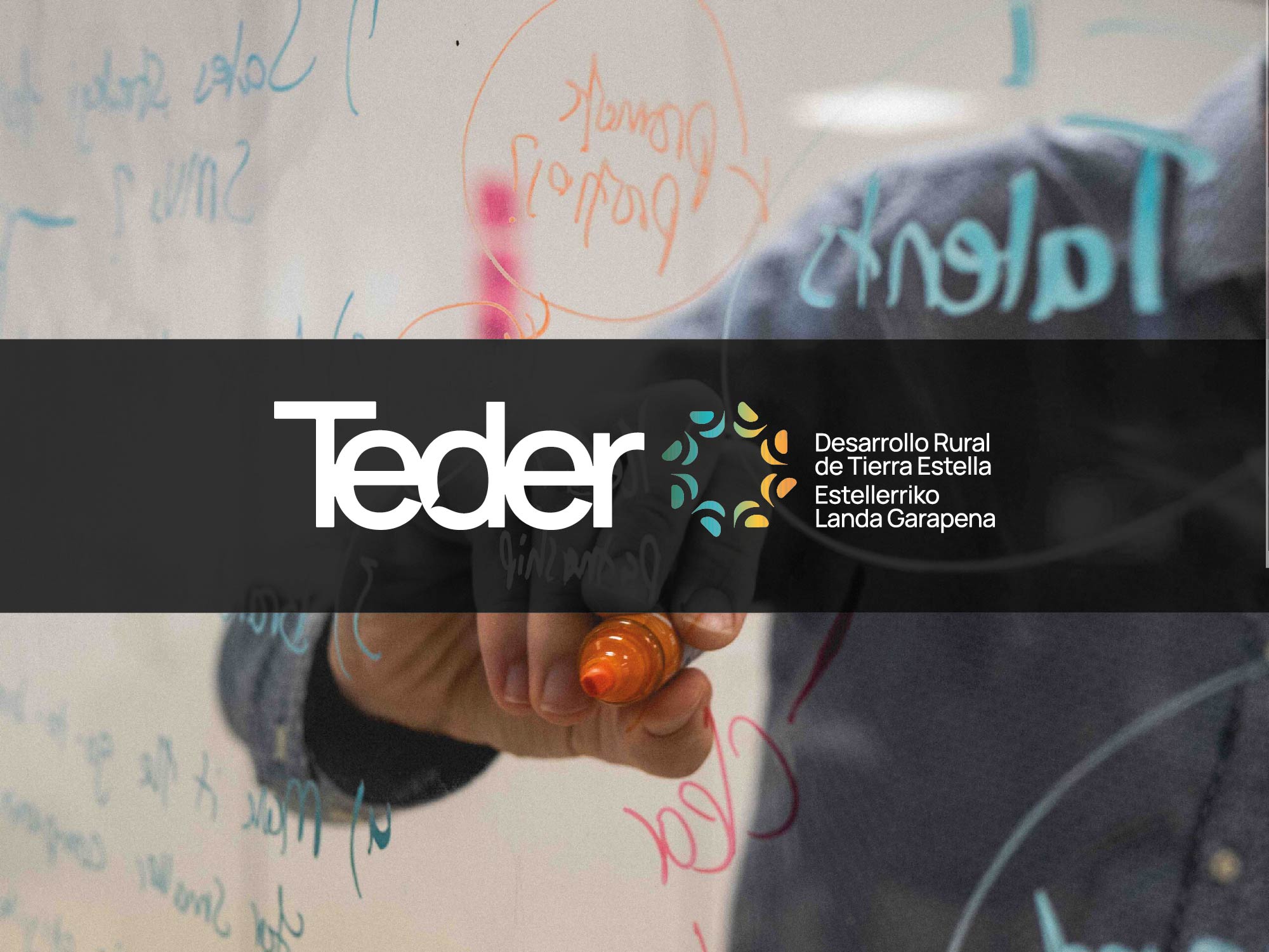 Asociación TEDER asesora en sus proyectos de emprendimiento a 281 personas en 2022, que suponen la creación de 77 empresas y 79 puestos de trabajo en la comarca de Tierra Estella