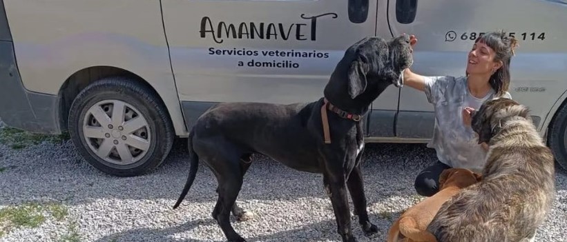 AMANAVET Servicio veterinario a domicilio – Sangüesa/Zangoza