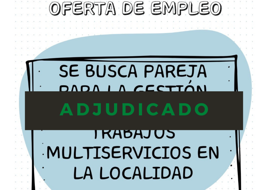 Gestión Bar y Hostal y Trabajos Multiservicios – PETILLA DE ARAGÓN